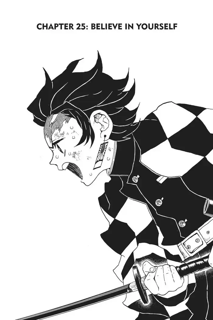 Demon Slayer Chapter 25 image 01_optimized